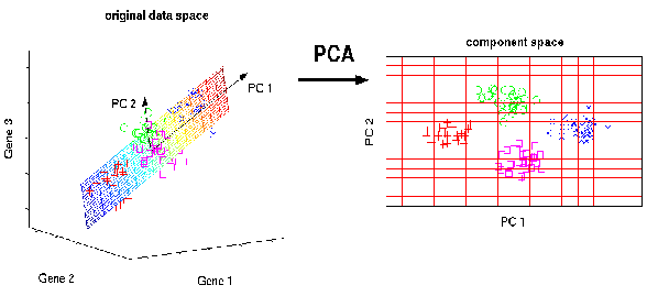  : Principal component analysis (PCA) is a statistical procedure